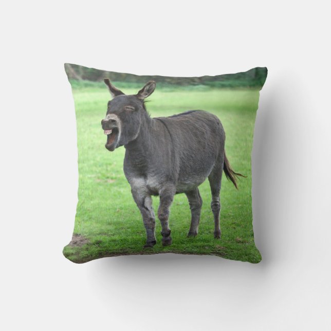 Donkey Laugh Pillow (Front)