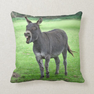 Donkey Laugh Pillow