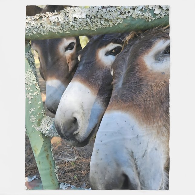 Donkey Love Fleece Blanket, Large 60" x 80" Blanket (Front)
