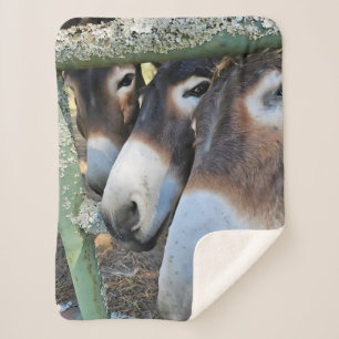 Donkey Love Sherpa Blanket