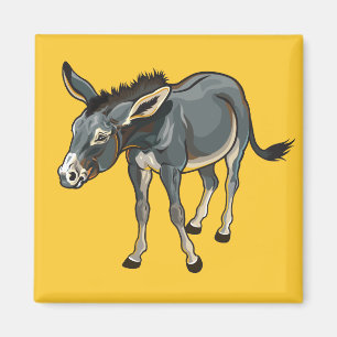 donkey magnet