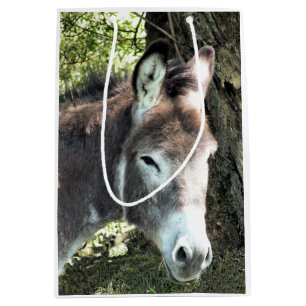 DONKEY MEDIUM GIFT BAG