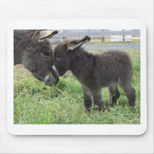 donkey mouse mat