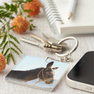 Donkey Mule Farm Animal Country Destiny Key Ring