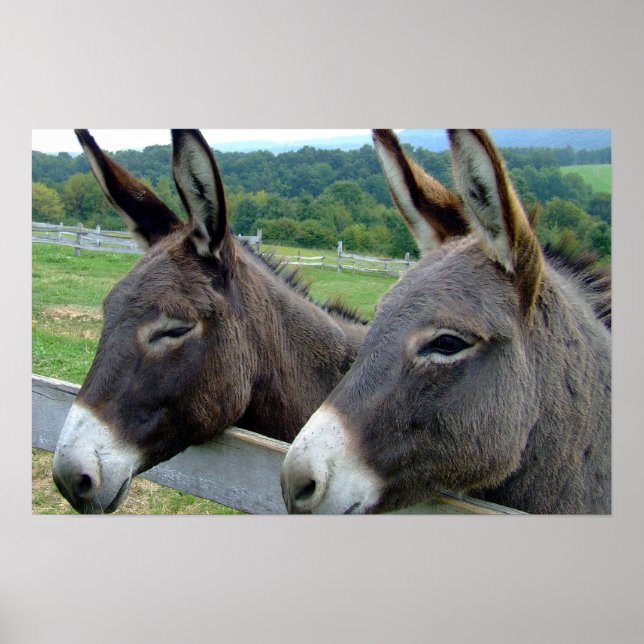Donkey Mule Farm Animal Country Destiny Poster (Front)