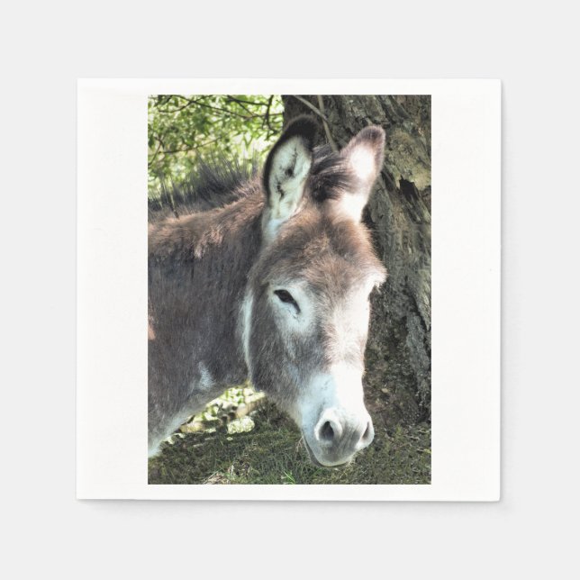 DONKEY NAPKIN (Front)