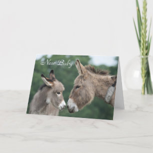 Donkey new baby card