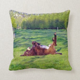 donkey on its back cushion