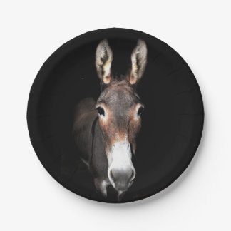 Donkey Paper Plate