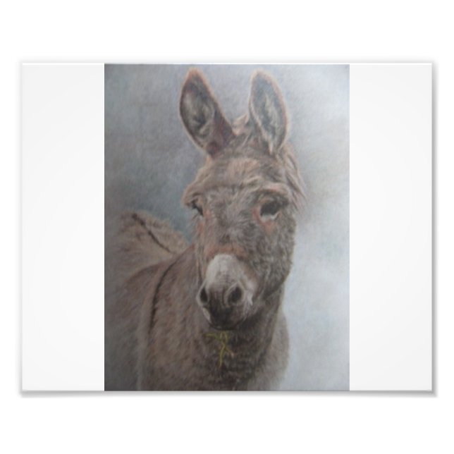 Donkey Photo Print (Front)