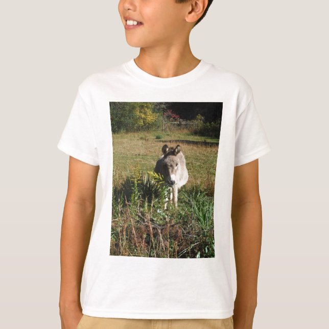 Donkey Picking Yellow Autumn Wildflowers T-Shirt (Front)