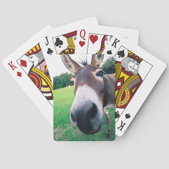 Donkey Playing Cards (Back)