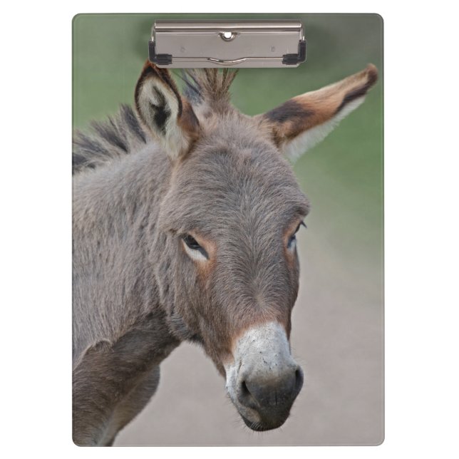 Donkey Portrait Clipboard (Front)
