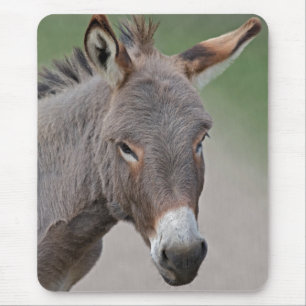 Donkey Portrait Mouse Mat