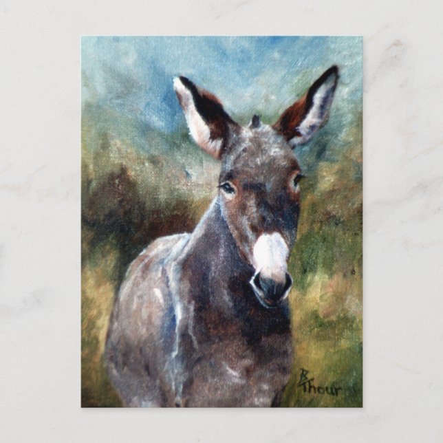 Donkey Portrait Postcard (Front)