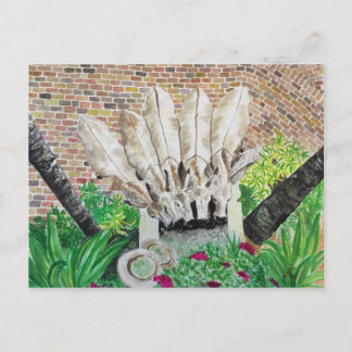 Donkey postcard