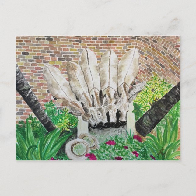 Donkey postcard (Front)
