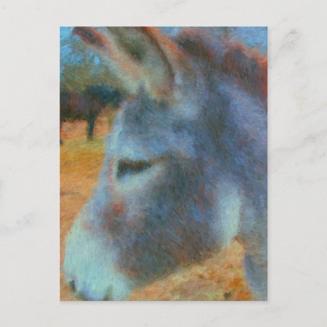 donkey postcard (Front)