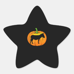 Donkey Pumpkin Funny Donkey Halloween Items Star Sticker
