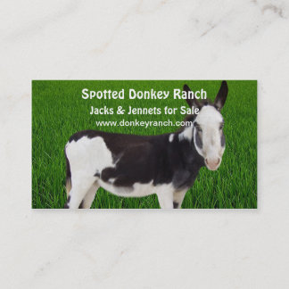 Donkey Ranch Business Card