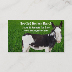 Donkey Ranch Business Card