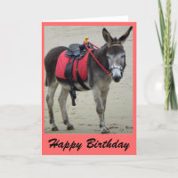donkey ride on a beach card