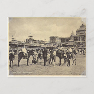 Donkey rides, Scheveningen 1906 Postcard