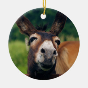 Donkey Smiles For Christmas Ceramic Tree Decoration