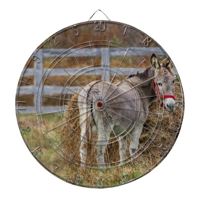 Donkey Tail Dartboard (Front)