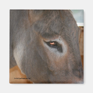 Donkey Thoughts Farm Animal Nature Magnet