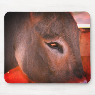 Donkey Thoughts Mouse Mat