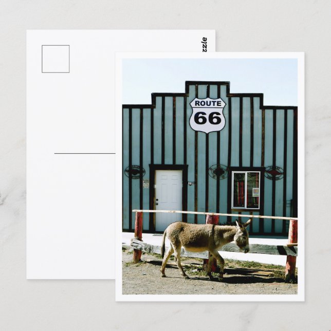 Donkey Town Oatman Arizona Postcard (Front/Back)