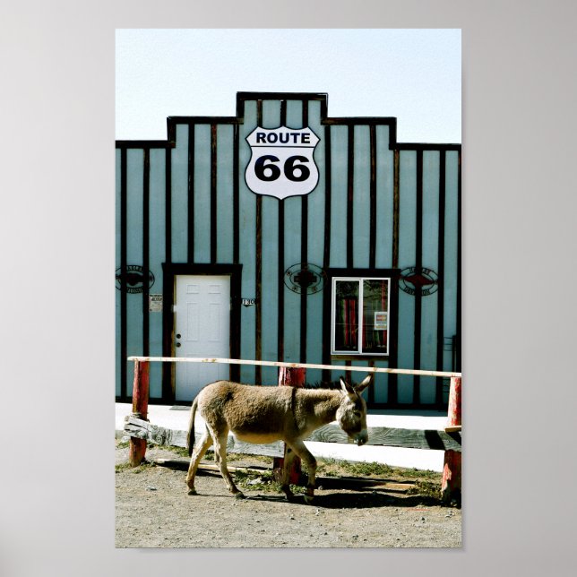 Donkey Town Oatman Arizona Poster (Front)