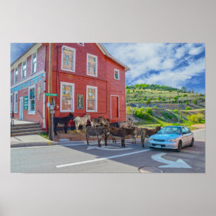 Donkey Welcoming Committee, Cripple Creek Colorado Poster