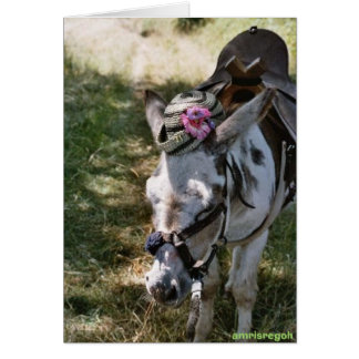 donkey with hat