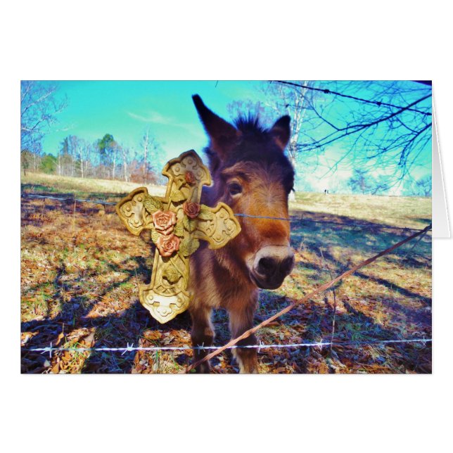 Donkey with Rose Cross (Front Horizontal)