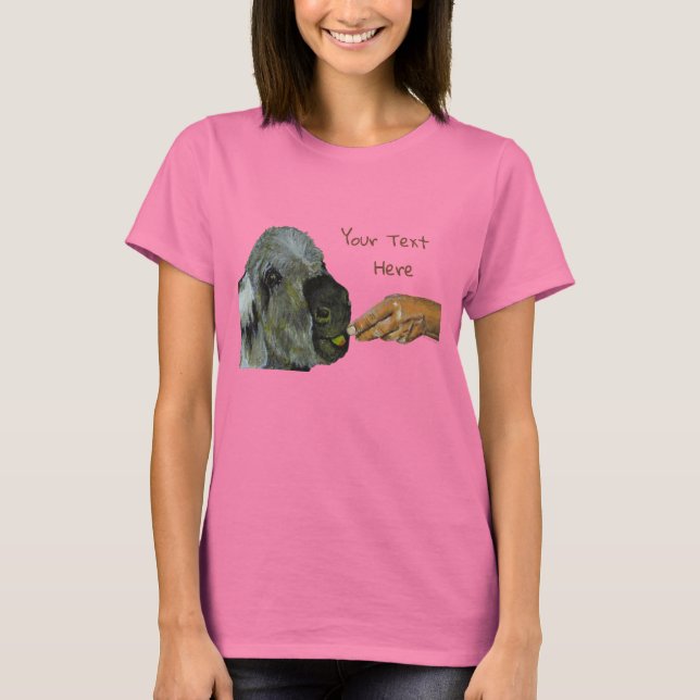 Donkey - Women's Tops (Front)