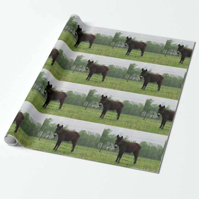 Donkey Wrapping paper (Unrolled)