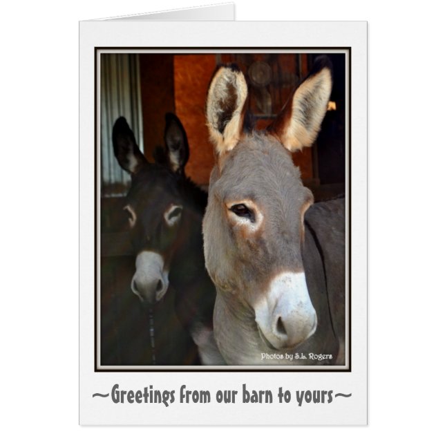 Donkeys (Front)