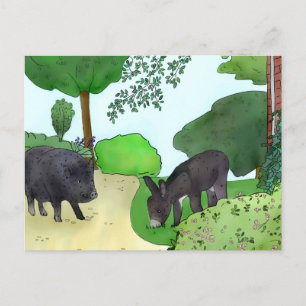 donkeys and pigs   postcard