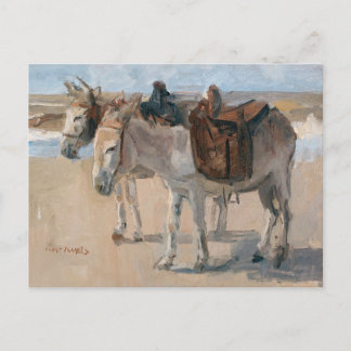 Donkeys at the Beach Postcard