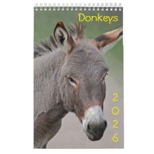 Donkeys Calendar