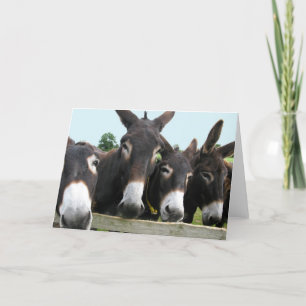 Donkeys Card
