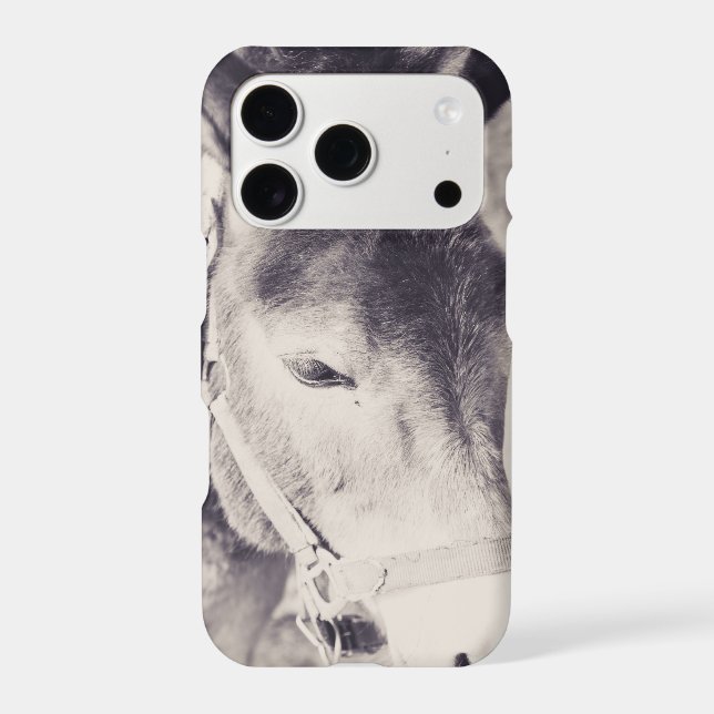 Donkey's head 001 (Back)