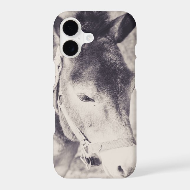 Donkey's head 001 (Back)