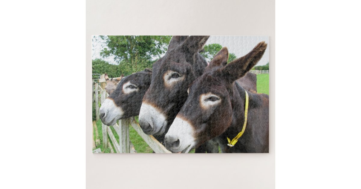 Donkeys Jigsaw Puzzle | Zazzle