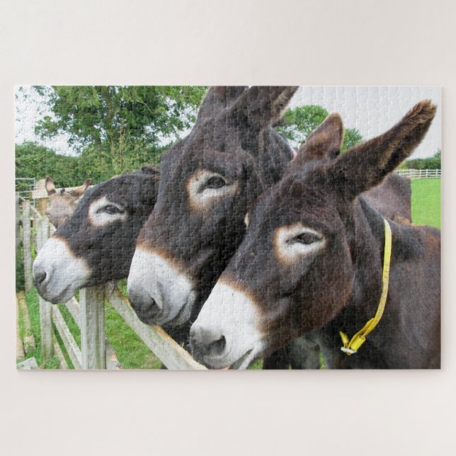 Donkeys Jigsaw Puzzle (Horizontal)