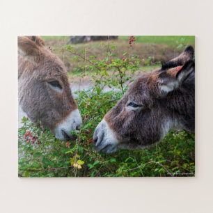 Donkeys, kids, 56 pieces, jigsaw puzzle