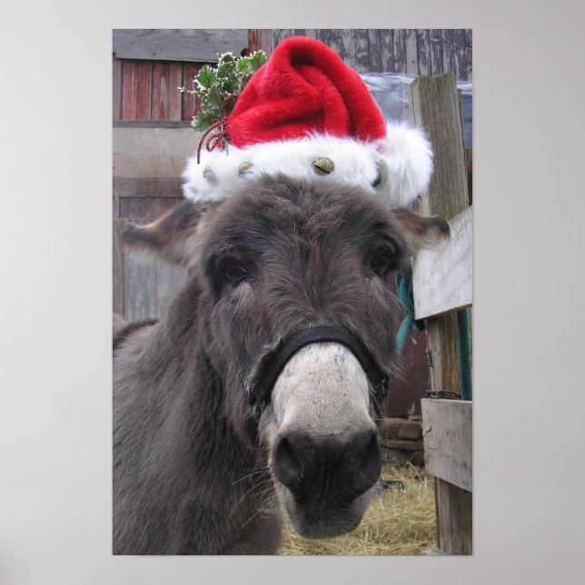 "Donkeys Make Great Santas!" Poster (Front)