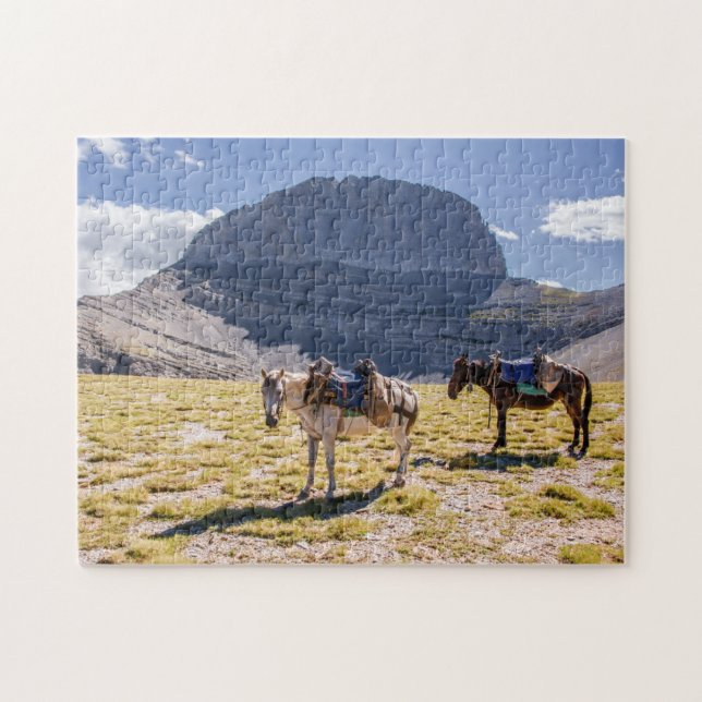 Donkeys on Mt. Olympus, Greece Jigsaw Puzzle (Horizontal)